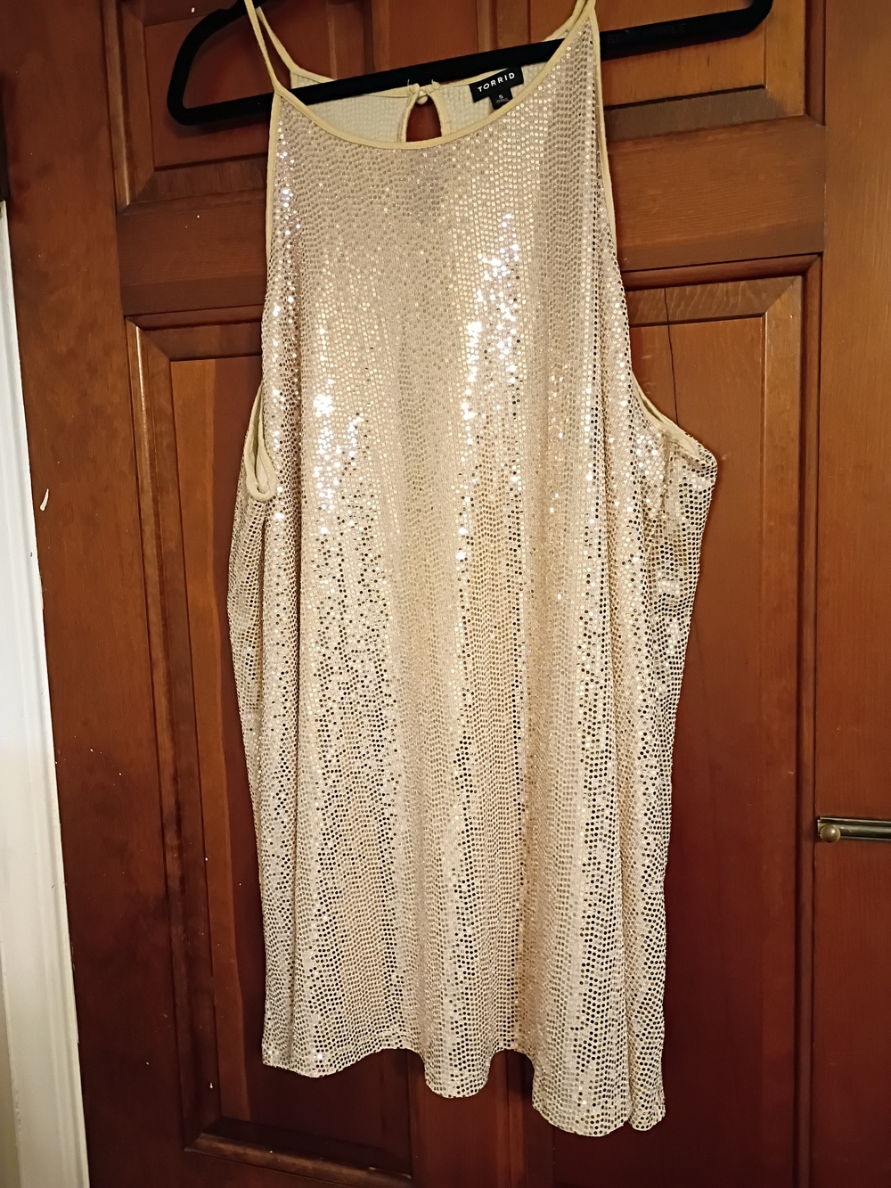 Torrid Champagne Sequin Slip Top Size 5